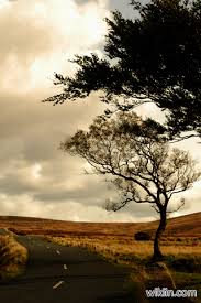 ������ ������� ������ �� ���