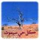 الصورة الرمزية حسناء المسلمة